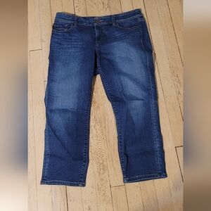 LOFT Medium Wash Modern Crop Jeans, Size 30/10